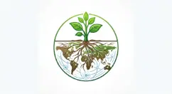 Plant Health International